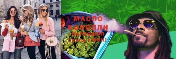 дмт Протвино